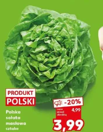 Polska sałata masłowa