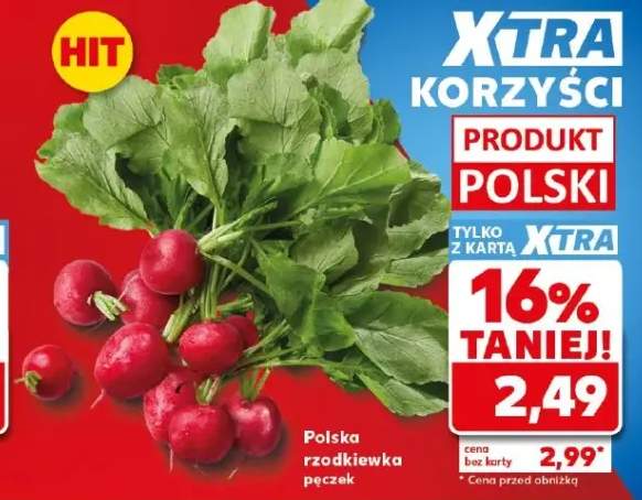 Polska rzodkiewka
