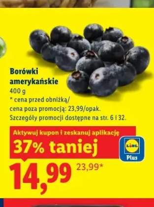 Borówki amerykańskie