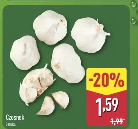 Czosnek