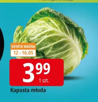 Kapusta młoda