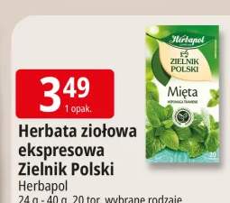 Herbata ziołowa ekspresowa Zielnik Polski Herbapol mięta