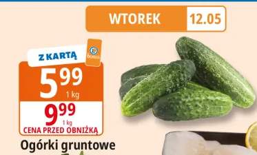 Ogórki gruntowe