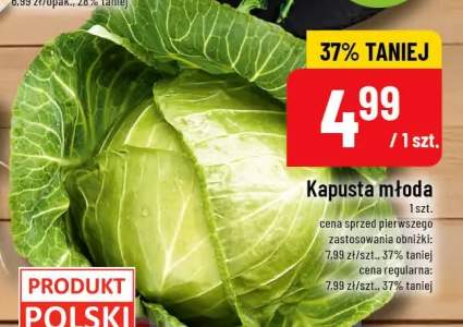 Kapusta młoda polska