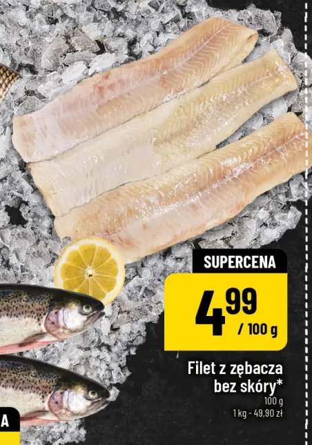 Filet z zębacza bez skóry