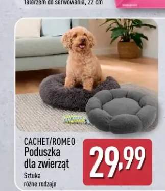 Poduszka dla zwierząt CACHET/ROMEO