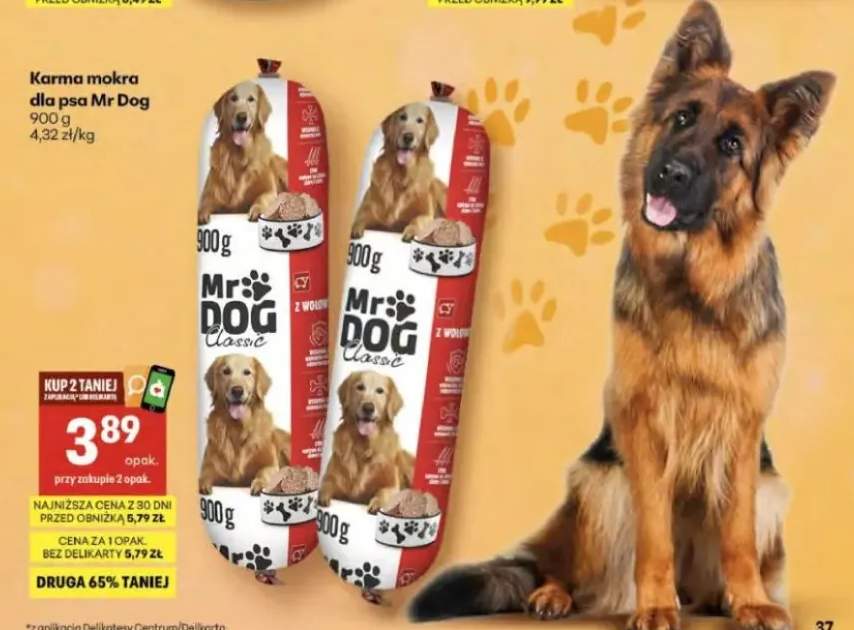 Karma mokra dla psa Mr Dog z wołowiną