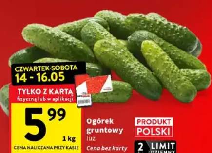 Ogórek gruntowy luz polski