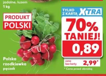 Polska rzodkiewka pęczek