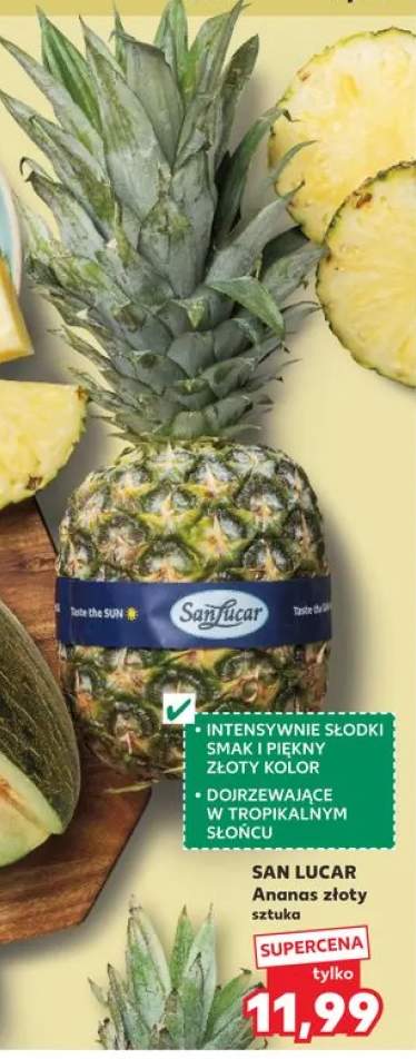 Ananas złoty San Lucar