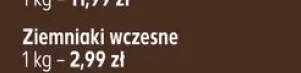 Ziemniaki wczesne