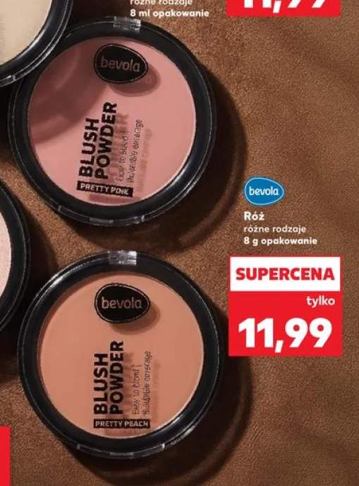 Róż bevola Pretty Pink