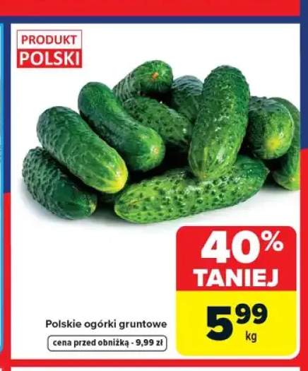 Polskie ogórki gruntowe