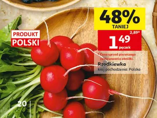 Rzodkiewka polska