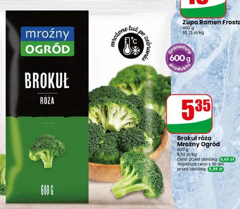 Brokuł róża Mroźny Ogród