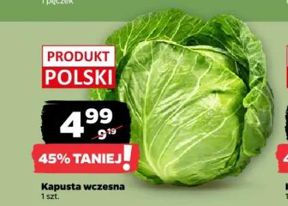 Kapusta wczesna polska