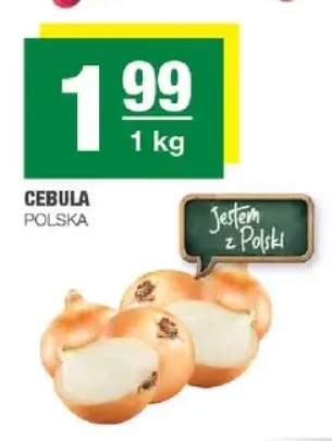 Cebula polska