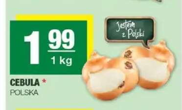 Cebula Polska