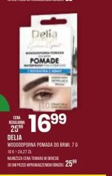 Wodoodporna pomada do brwi Delia