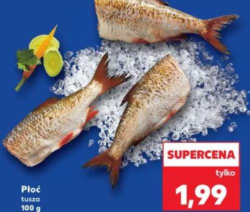 Płoć tusza