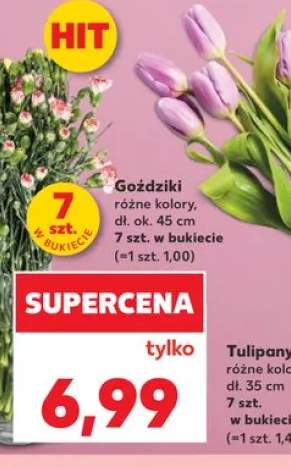 Goździki dł. ok. 45cm