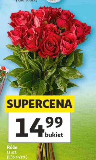 Róże 11szt.