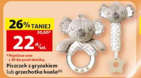 Grzechotka koala