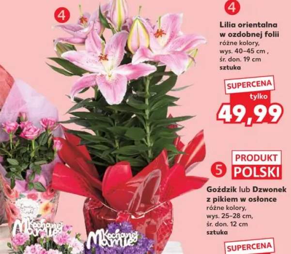 Kwiat z pikiem w osłonce