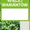 Drzwi stalowe zewnętrzne wejściowe Avinion 72 orzechowe 80 prawe