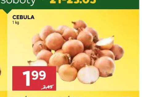 Cebula