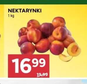 Nektarynki