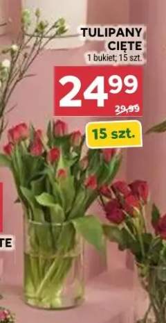 Tulipany cięte