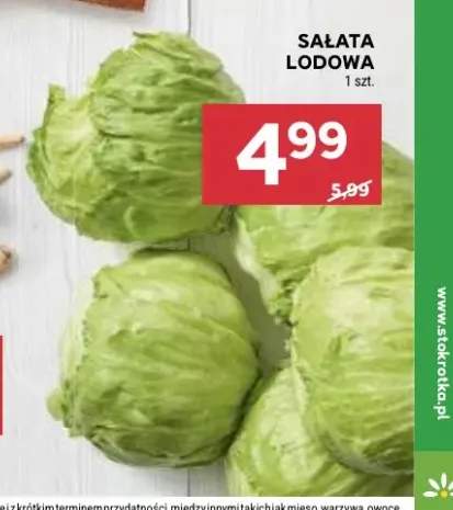 Sałata lodowa