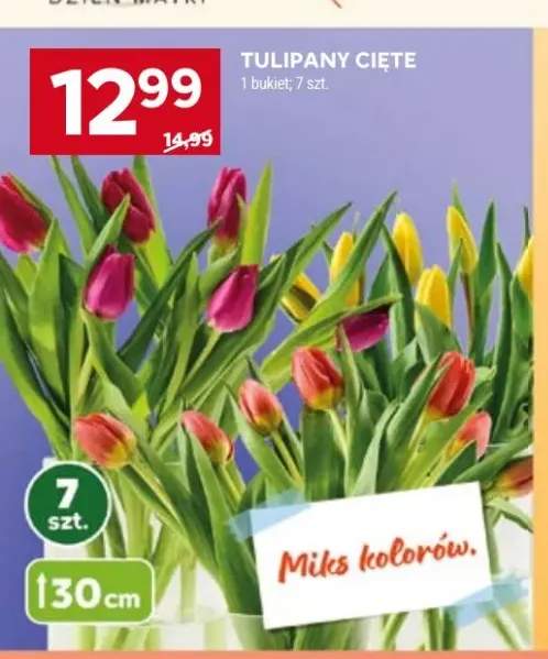 Tulipany cięte 30cm