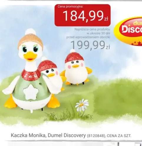 Kaczka Monika Dumel Discovery