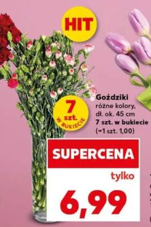 Goździki dł. ok. 45cm