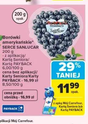 Borówki amerykańskie Serce Sanlucar