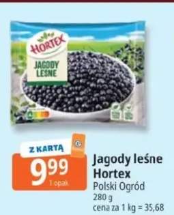 Jagody leśne Hortex