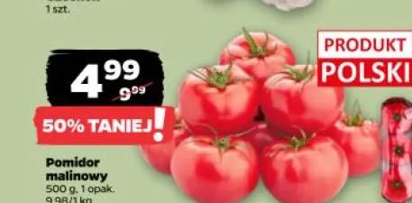Pomidor malinowy polski