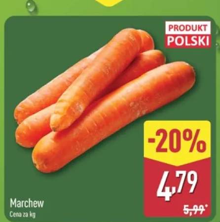 Marchew polska