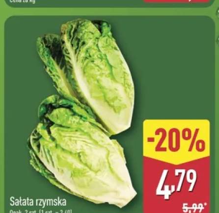 Sałata rzymska