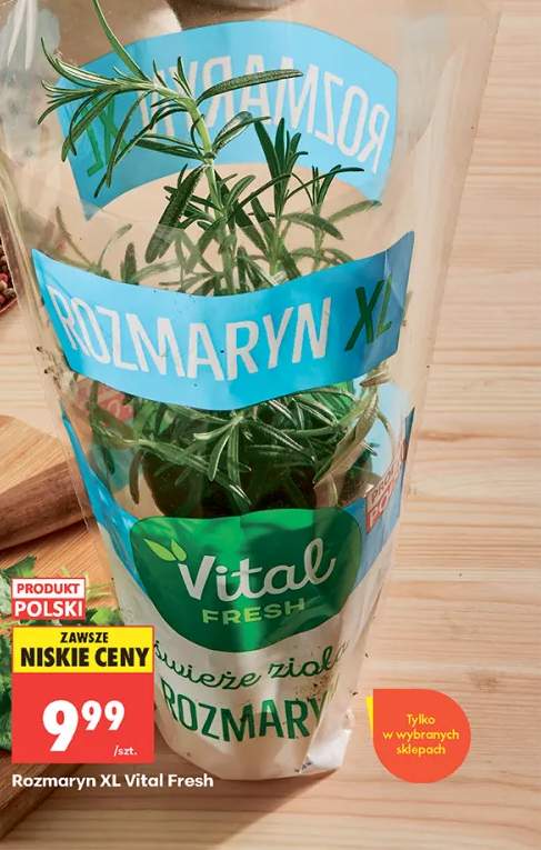 Rozmaryn XL Vital Fresh