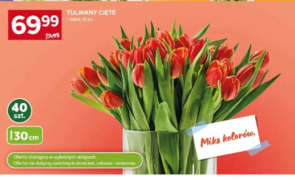 Tulipany cięte 30cm