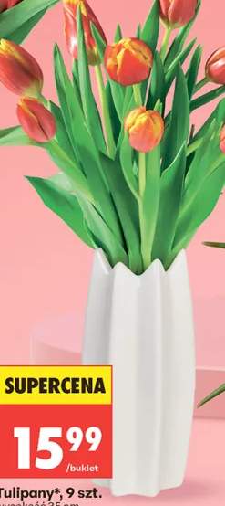 Tulipany 9szt. wysokość 35cm