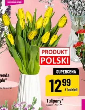 Tulipany