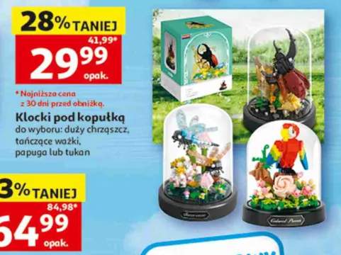 Klocki pod kopułką tańczące ważki