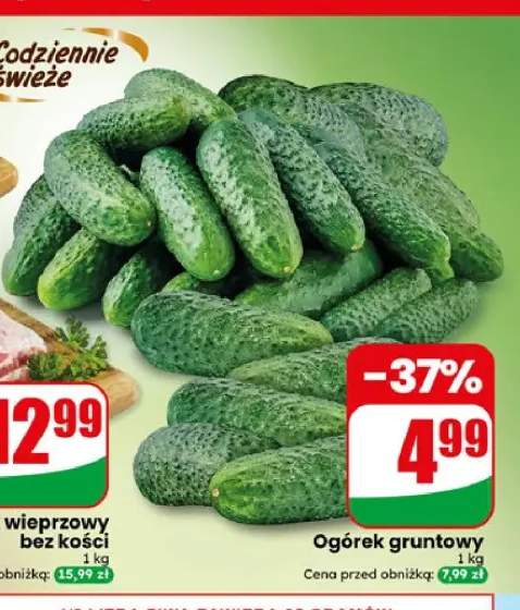 Ogórek gruntowy