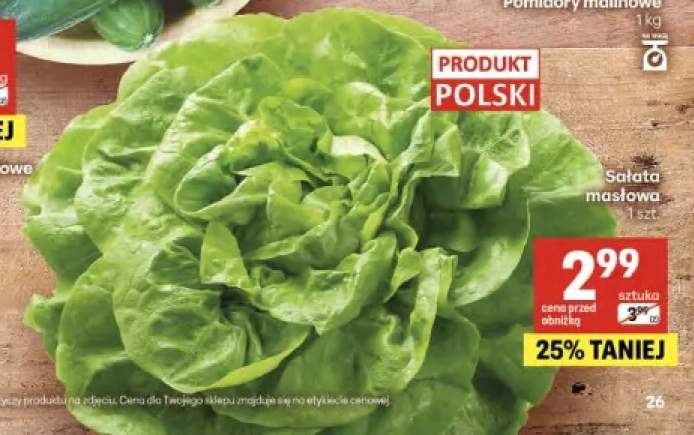 Sałata masłowa polska
