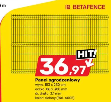 Panel ogrodzeniowy BETAFENCE wym. 153x250cm