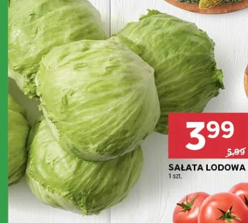 Sałata lodowa
